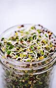 Image result for Billy Logan Sprouts