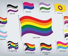 Image result for 100 LGBTQ Flags