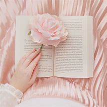 Image result for Pink Library Aesthetic