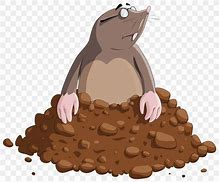 Image result for Mole Day Clip Art