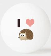 Image result for Hedgehog Gifts