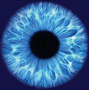 Image result for White Eye Texture