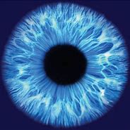 Image result for Free Eye Texture