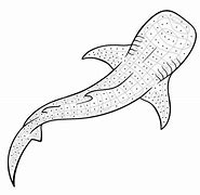 Image result for Whale Shark Art