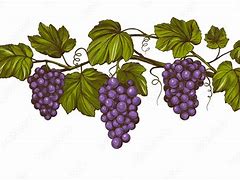 Image result for Grape Vine DXF