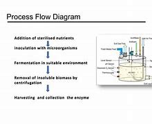 Image result for Enzyme Fermentation