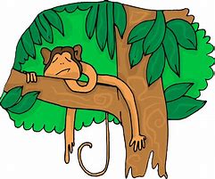 Image result for Orange Monkey Cartoon