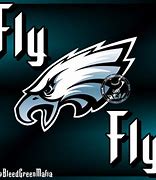 Image result for Meme Fly Eagles Fly Swatter