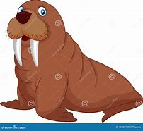 Image result for Walrus Baby Pics