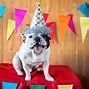 Image result for Happy Birthday Dog Puns