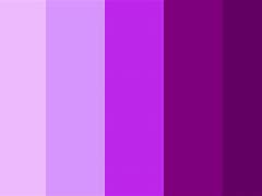 Image result for Purple Pack 27