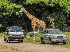 Image result for Escuintla, Chiapas