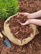 Image result for Mulch Pics