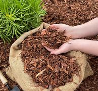 Image result for Stock Pictures Hardwood Mulch