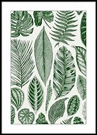 Image result for Bright Green Leaves Poster