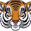 Image result for Baby Tiger Face Clip Art Outline