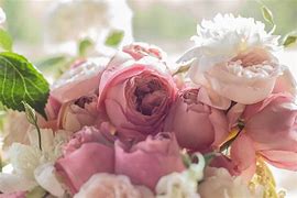 Image result for Catherine Theoret Nuovo Photography