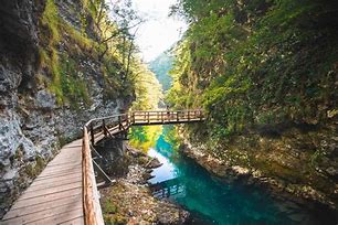 Image result for Vintgar Gorge