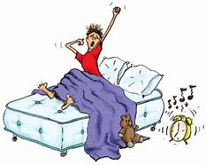 Image result for Kicked Out of Bed Cartoon