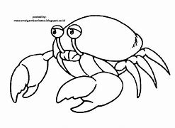 Image result for Hewan Kepiting