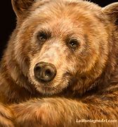 Image result for Golden Moon Bear