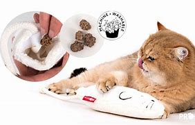 Image result for Washable Cat Toys