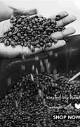 Image result for Spring Valley Coffee Kenya