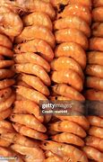 Image result for Shrimp Antennae