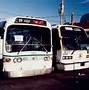 Image result for Green Bus Lines