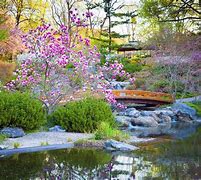 Image result for Japanese Flower Garden