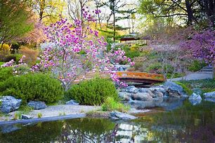 Image result for Japanese Garden Layout