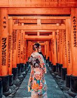 Image result for Kyoto Knife