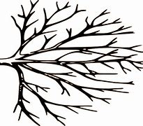 Image result for Tree Line Clip Art Black and White