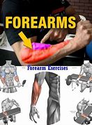 Image result for Forearm Workout Routine