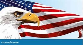 Image result for USA No Symbol