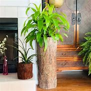 Image result for Unique Indoor Plant Pots