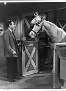 Image result for mister ed quotes