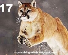 Image result for Mountain Lion Calendar