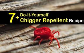 Image result for Chigger Repellent