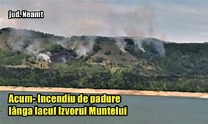 Image result for Incendiu Padure