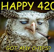 Image result for 420 Day Meme Willie Nelson