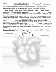 Image result for Human Circulatory System Worksheet