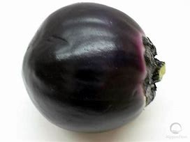 Image result for Round Eggplant