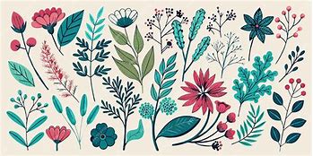 Image result for Botanical Illustrations Free