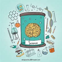 Image result for Science Elements with Brain Image