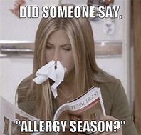 Image result for Allergy Season Meme