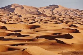 Image result for Sahara Sand Dunes