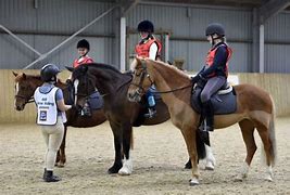 Image result for Beginner Horse Riding