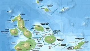 Image result for Galapagos Topo Map