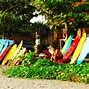 Image result for Bali Surfing